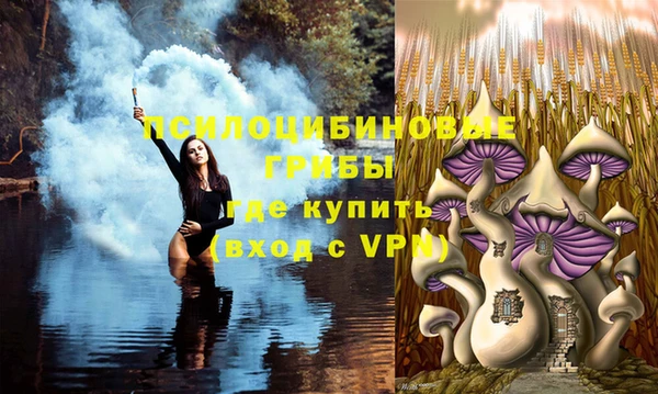 apvp Инсар