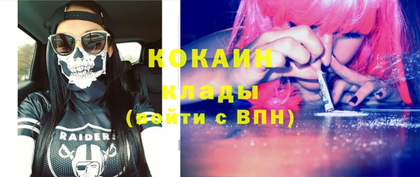 apvp Инсар
