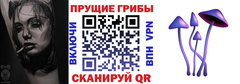 гидра маркетплейс  наркота  Константиновск  Псилоцибиновые грибы мицелий 